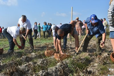 Kultura, Tradycja i... Placki 2025